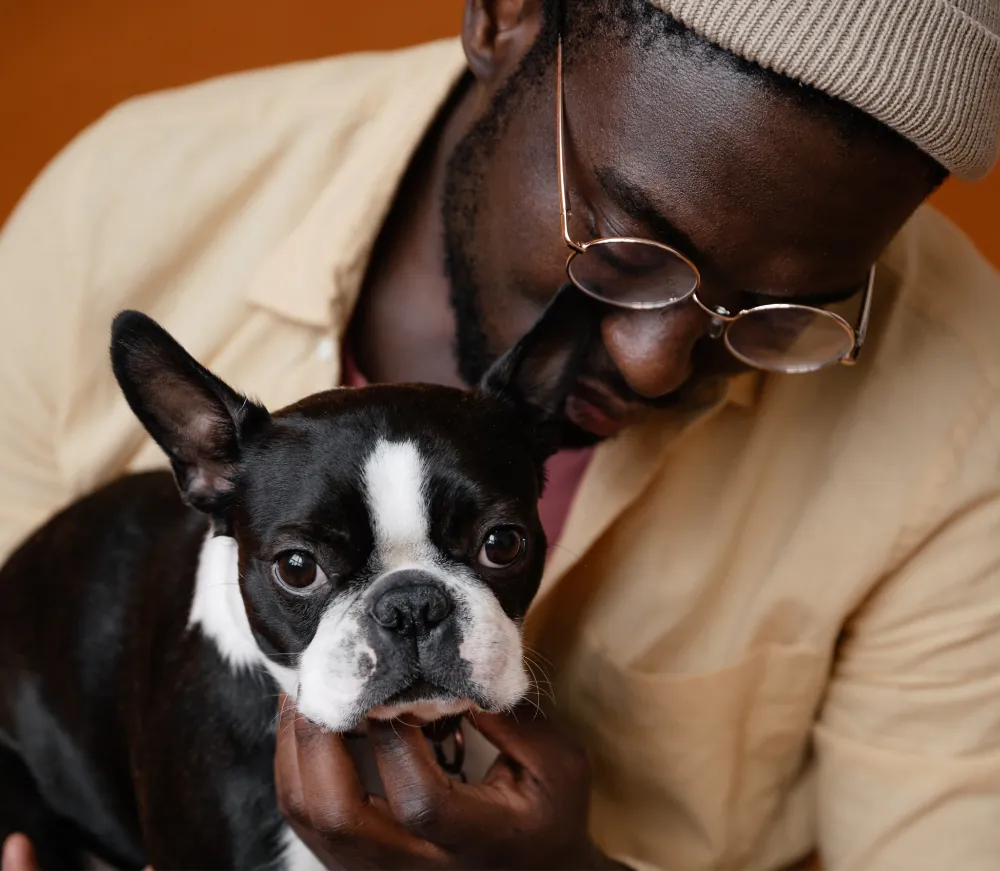 Mauris Vitae Ultricies Leointeger 1 article thumb 3 optimized