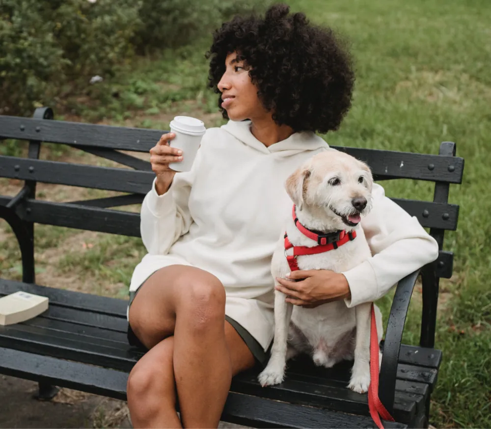 Tincidunt Lobortis Feugiat Vivamus 1 article thumb 4 optimized