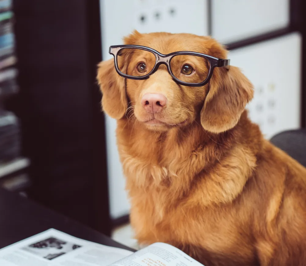 Purus Sitamet Luctus Venenatis 1 article thumb 5 optimized