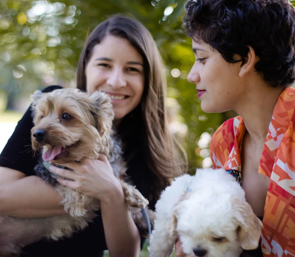 Aliquet Porttitor Lacusuctus Accumsan 1 article thumb 6 optimized