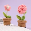 6pcs Crochet Potted Flower Kit