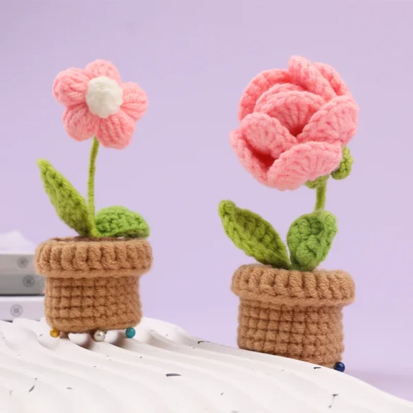 6pcs Crochet Potted Flower Kit