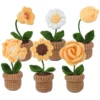 6pcs Crochet Potted Flower Kit