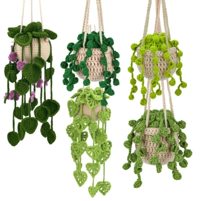 Botanical Air Plant Crochet Kit