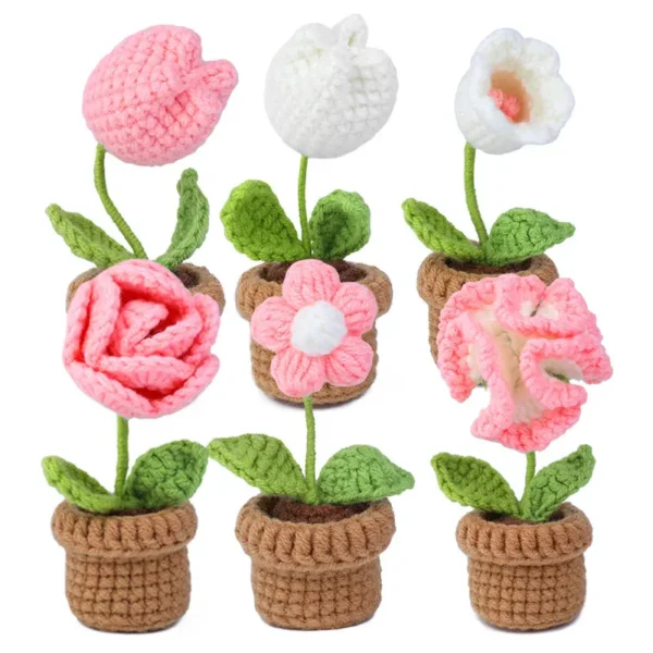 6pcs Crochet Potted Flower Kit