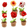 6pcs Crochet Potted Flower Kit