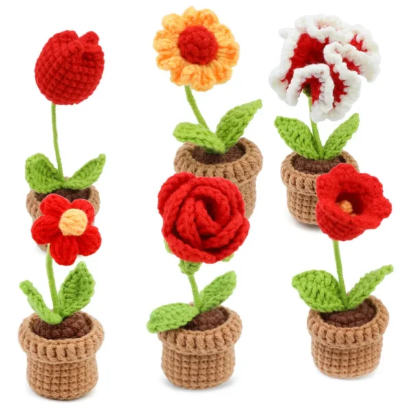 6pcs Crochet Potted Flower Kit
