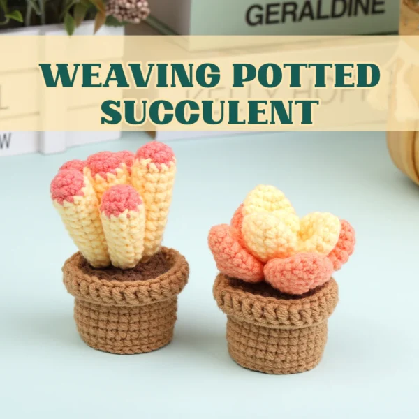 Complete DIY Crochet Kit for Beginners