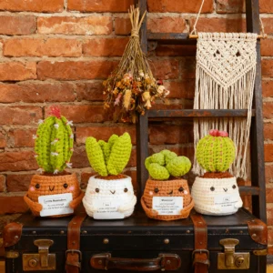 Complete 4 potted cactus crochet kit supplies on wooden table