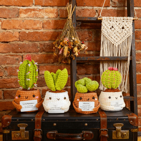 Complete 4 potted cactus crochet kit supplies on wooden table