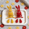 Step-by-Step Photo Instructions for Arrogant Rabbit Crochet DIY Kit