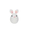 White bunny crochet kit for beginners full set