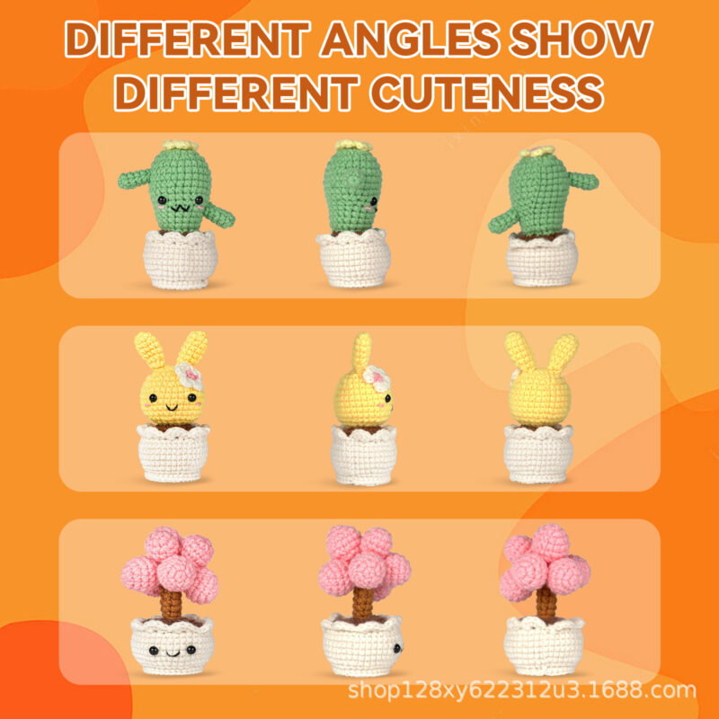 Multi succulent crochet kit for beginners full set