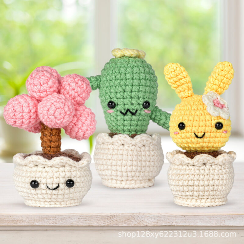 Succulent crochet kit as housewarming gift