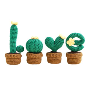 Dark LOVE cactus crochet kit for beginners full set