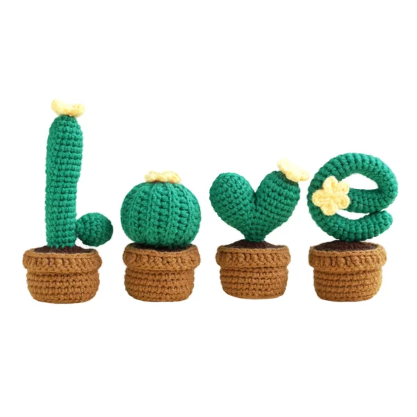 Dark LOVE cactus crochet kit for beginners full set